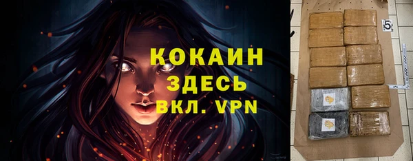 ПСИЛОЦИБИНОВЫЕ ГРИБЫ Вязьма