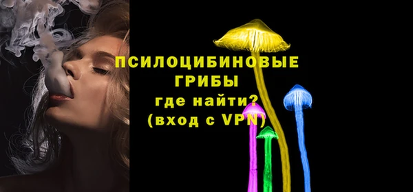 не бодяженный Вяземский