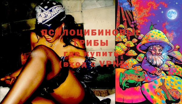 не бодяженный Вяземский